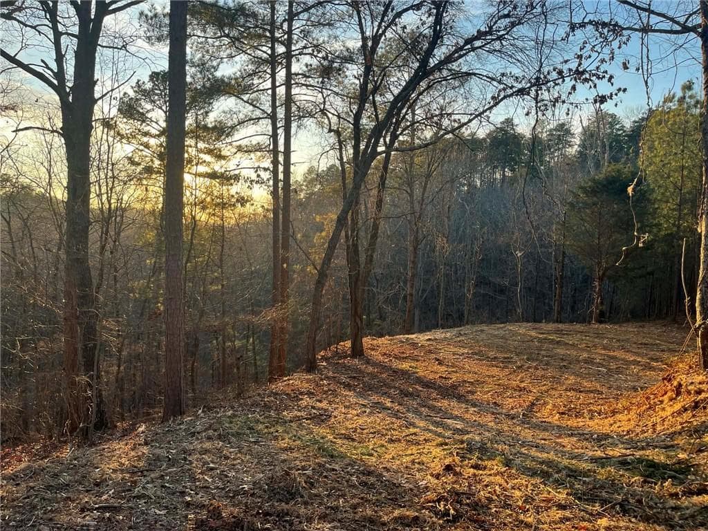 unimproved land for sale at 331 Paladin Drive, Ranger, GA 30734 — photo 10