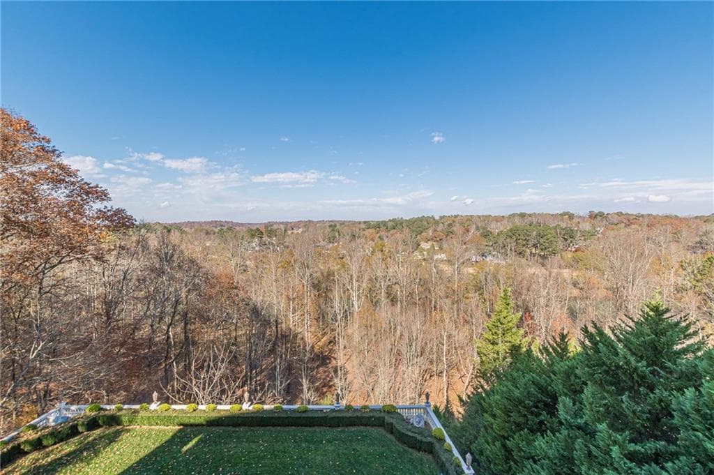6 bedroom, 9 bathroom, 17,692 sq ft single family residence for sale at 8330 Jett Ferry Road, Sandy Springs, GA 30350 — photo 3
