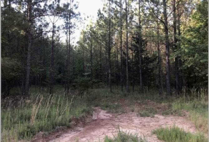 other for sale at 0 Lower Mill Road, Crawfordville, GA 30631