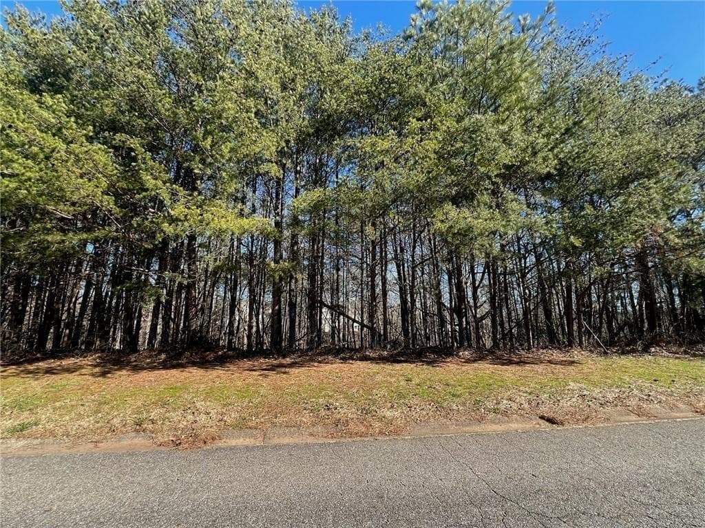 unimproved land for sale at 924 Whistler Lane, Canton, GA 30114 — photo 1 of 14