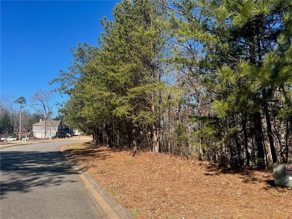 unimproved land for sale at 924 Whistler Lane, Canton, GA 30114 — photo 2