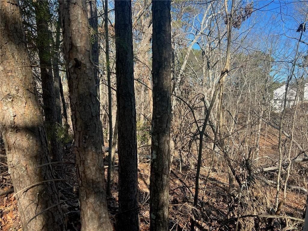 unimproved land for sale at 924 Whistler Lane, Canton, GA 30114 — photo 4