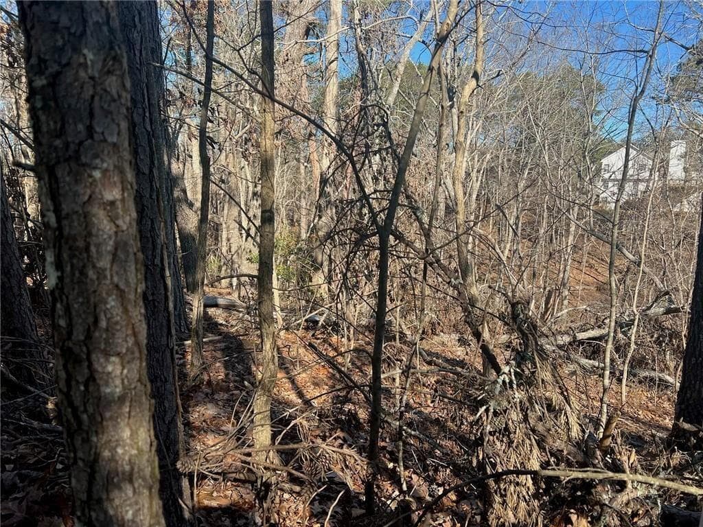 unimproved land for sale at 924 Whistler Lane, Canton, GA 30114 — photo 5