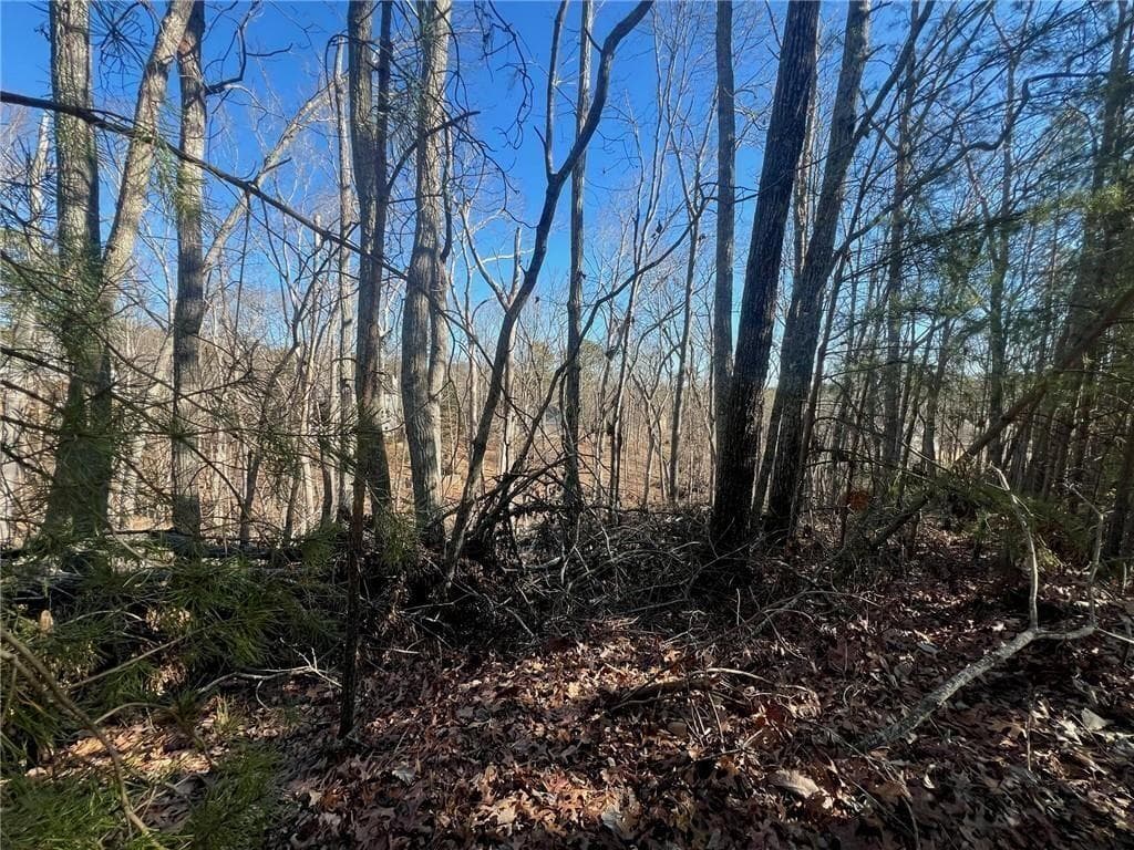 unimproved land for sale at 924 Whistler Lane, Canton, GA 30114 — photo 6