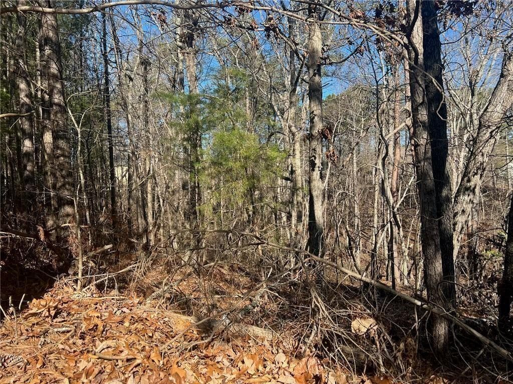 unimproved land for sale at 924 Whistler Lane, Canton, GA 30114 — photo 7