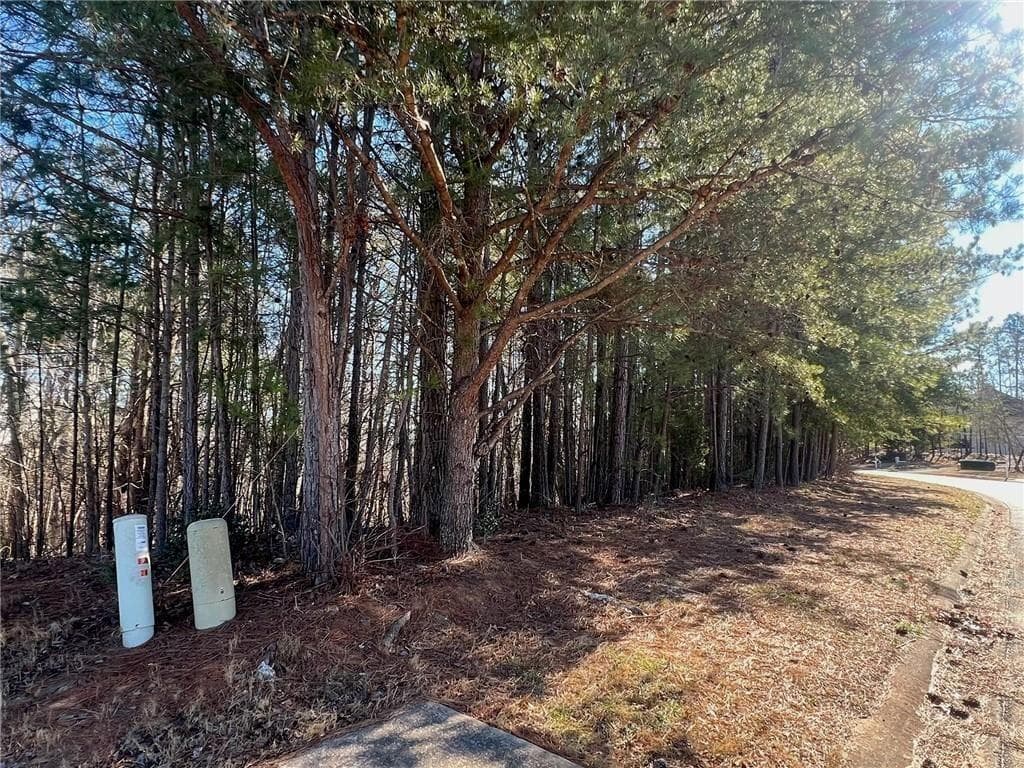 unimproved land for sale at 924 Whistler Lane, Canton, GA 30114 — photo 8