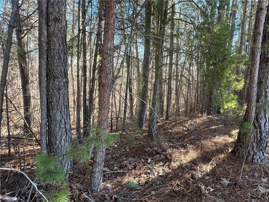 unimproved land for sale at 924 Whistler Lane, Canton, GA 30114 — photo 9