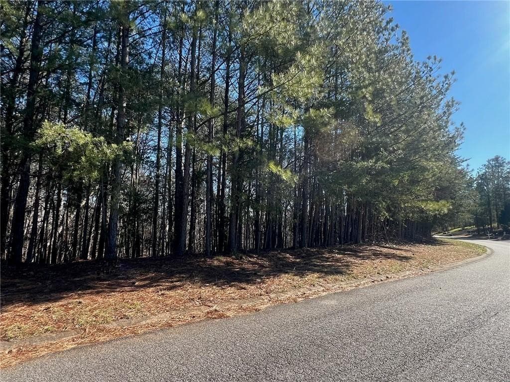 unimproved land for sale at 924 Whistler Lane, Canton, GA 30114 — photo 10