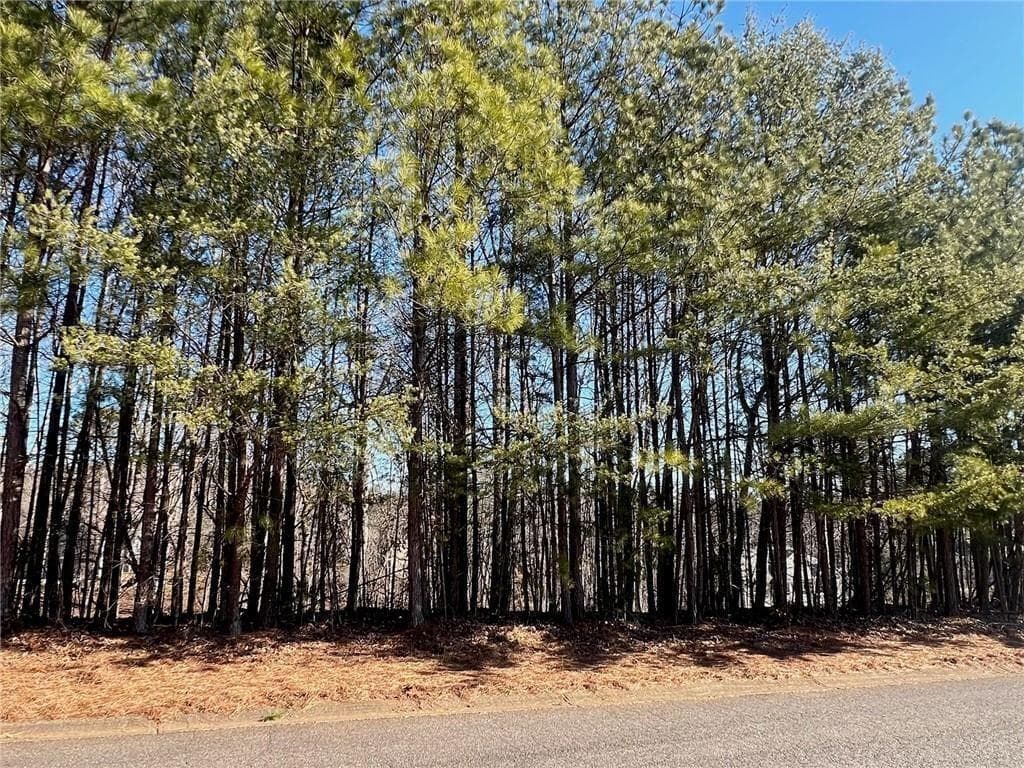 unimproved land for sale at 920 Whistler Lane, Canton, GA 30114 — photo 1 of 13