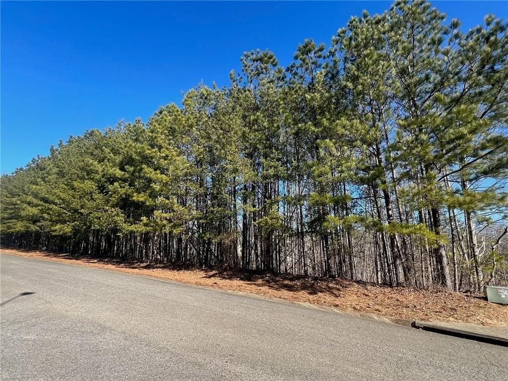 unimproved land for sale at 920 Whistler Lane, Canton, GA 30114 — photo 2