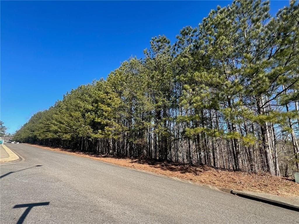 unimproved land for sale at 920 Whistler Lane, Canton, GA 30114 — photo 3