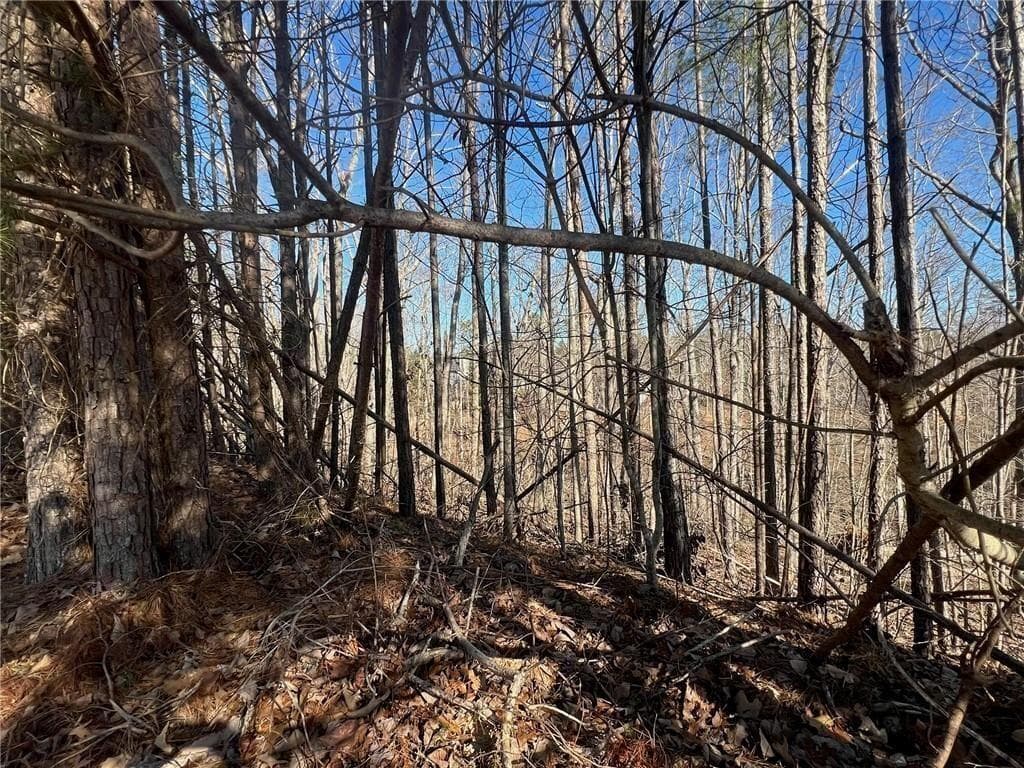 unimproved land for sale at 920 Whistler Lane, Canton, GA 30114 — photo 4
