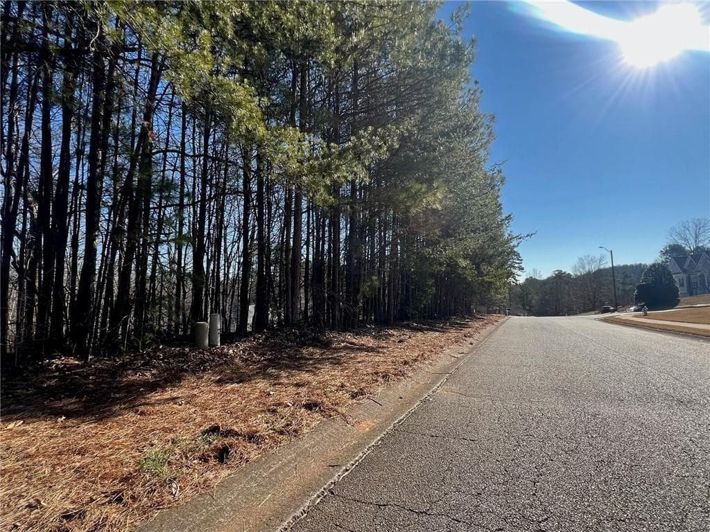 unimproved land for sale at 920 Whistler Lane, Canton, GA 30114 — photo 5