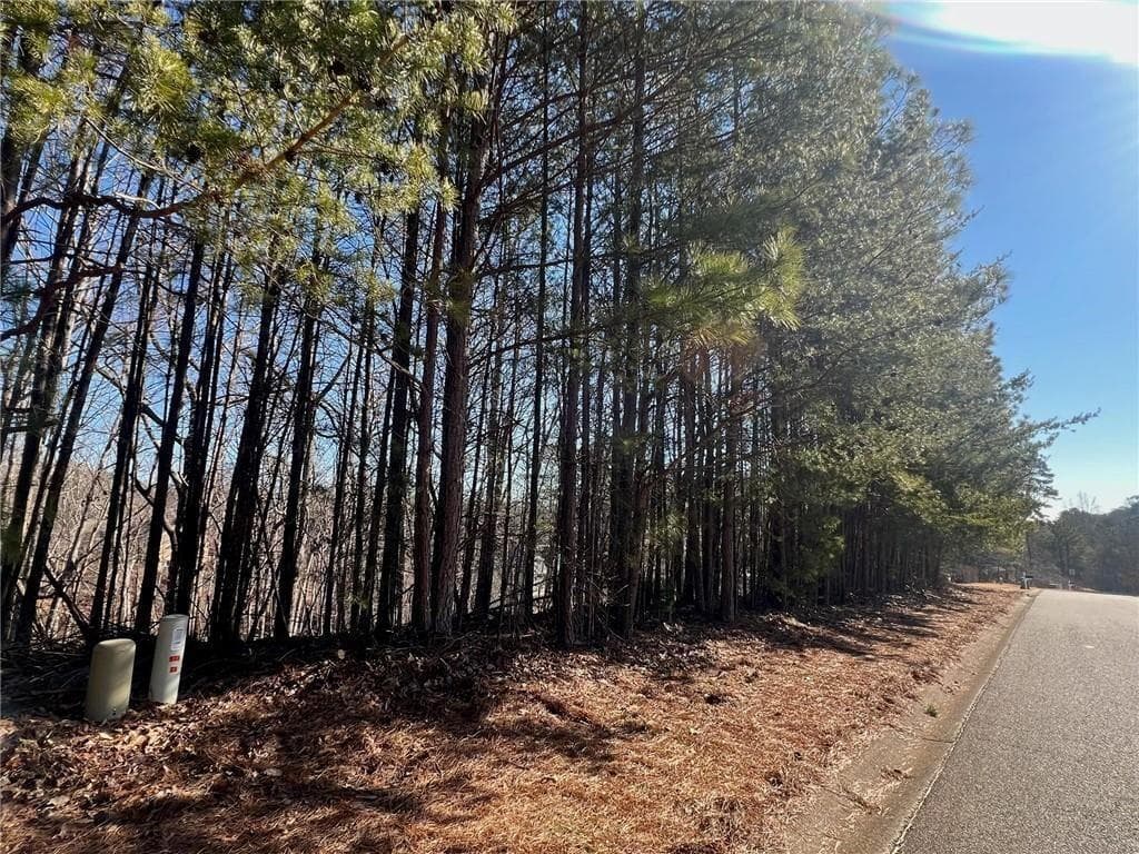 unimproved land for sale at 920 Whistler Lane, Canton, GA 30114 — photo 6