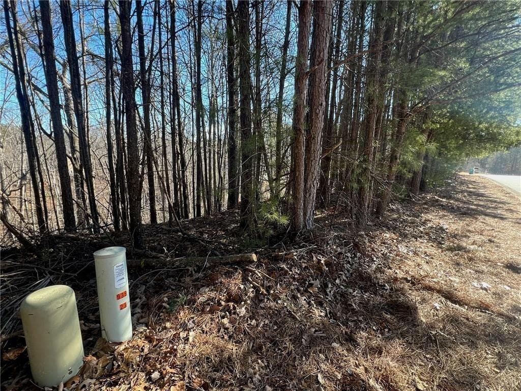 unimproved land for sale at 920 Whistler Lane, Canton, GA 30114 — photo 7
