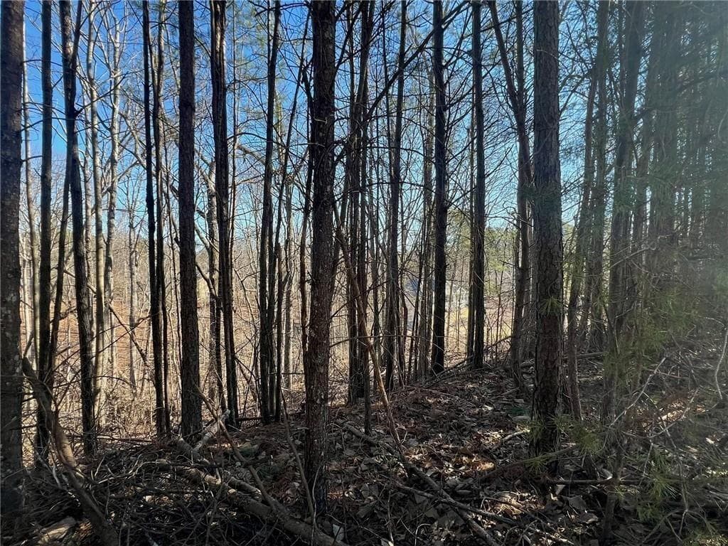 unimproved land for sale at 920 Whistler Lane, Canton, GA 30114 — photo 8