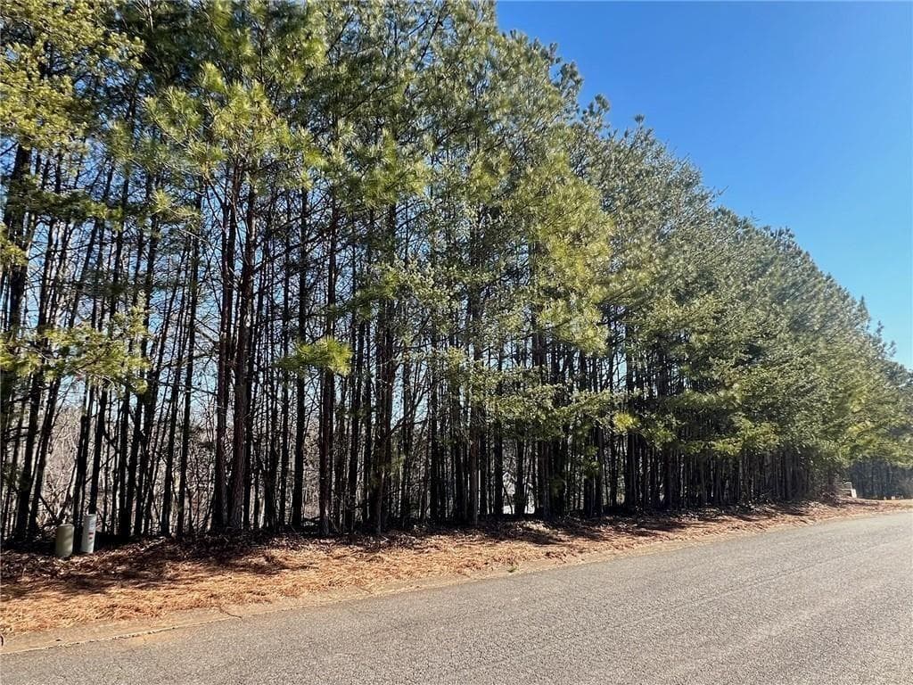 unimproved land for sale at 920 Whistler Lane, Canton, GA 30114 — photo 9