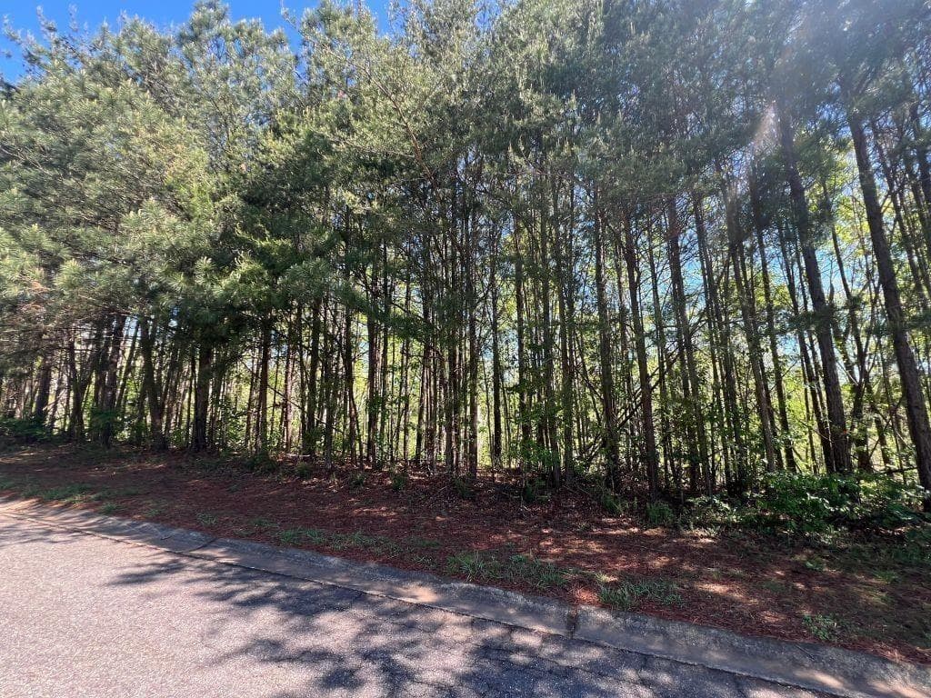 unimproved land for sale at 922 Whistler Lane, Canton, GA 30114 — photo 1 of 8