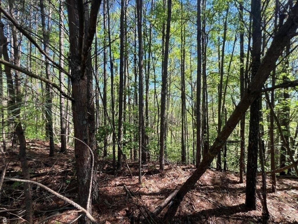 unimproved land for sale at 922 Whistler Lane, Canton, GA 30114 — photo 4