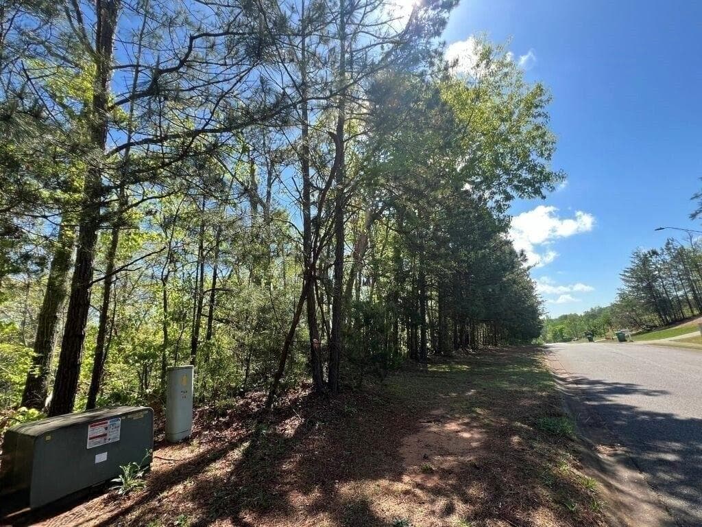 unimproved land for sale at 922 Whistler Lane, Canton, GA 30114 — photo 5