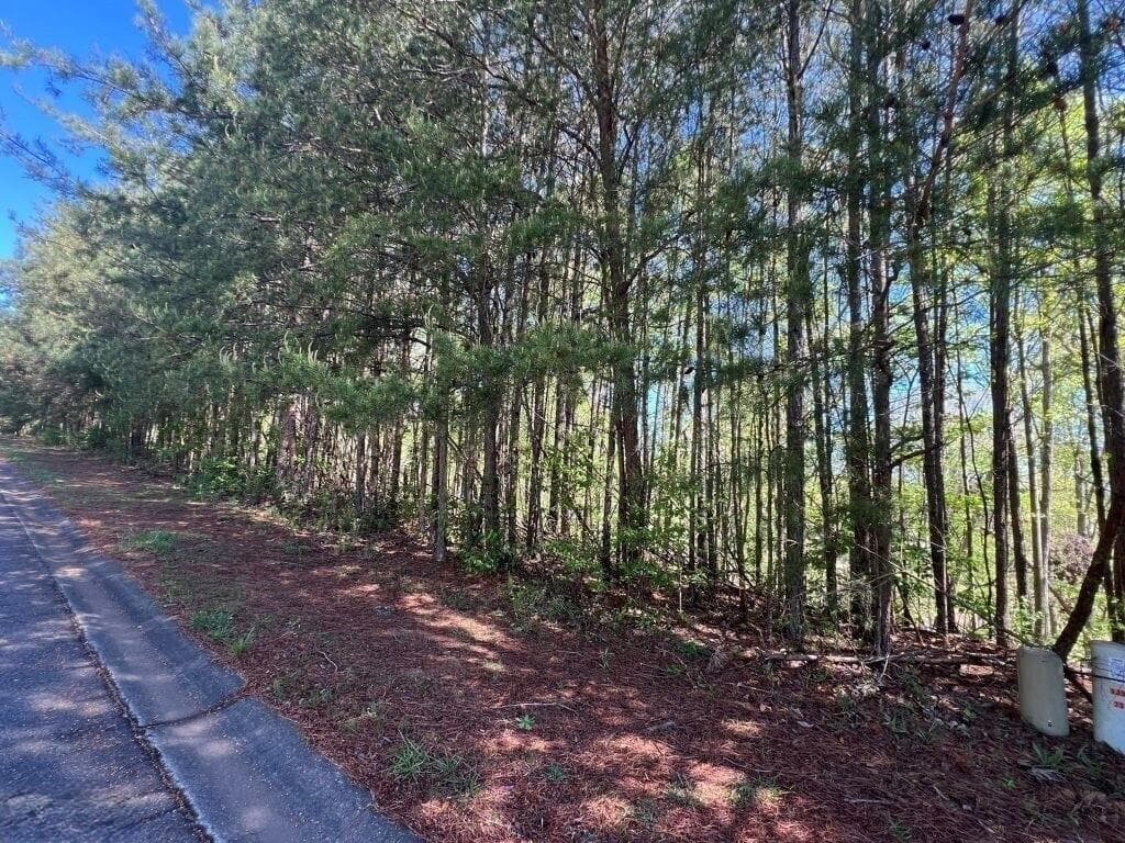 unimproved land for sale at 922 Whistler Lane, Canton, GA 30114 — photo 6