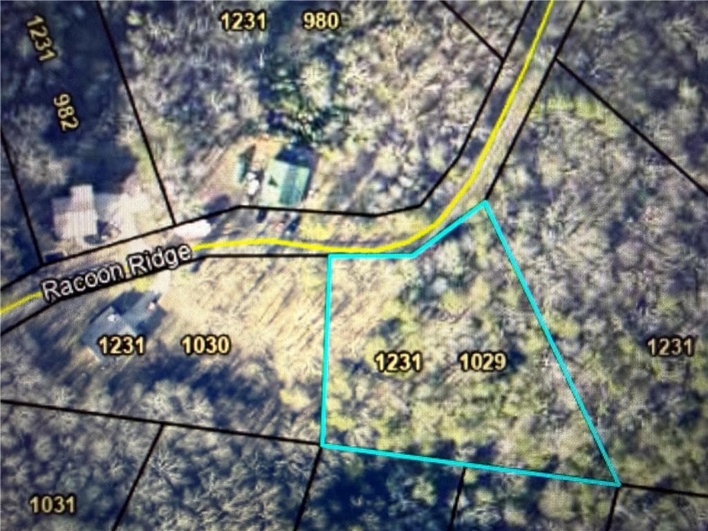 unimproved land for sale at 1029 Raccoon Ridge, Ranger, GA 30734 — photo 2