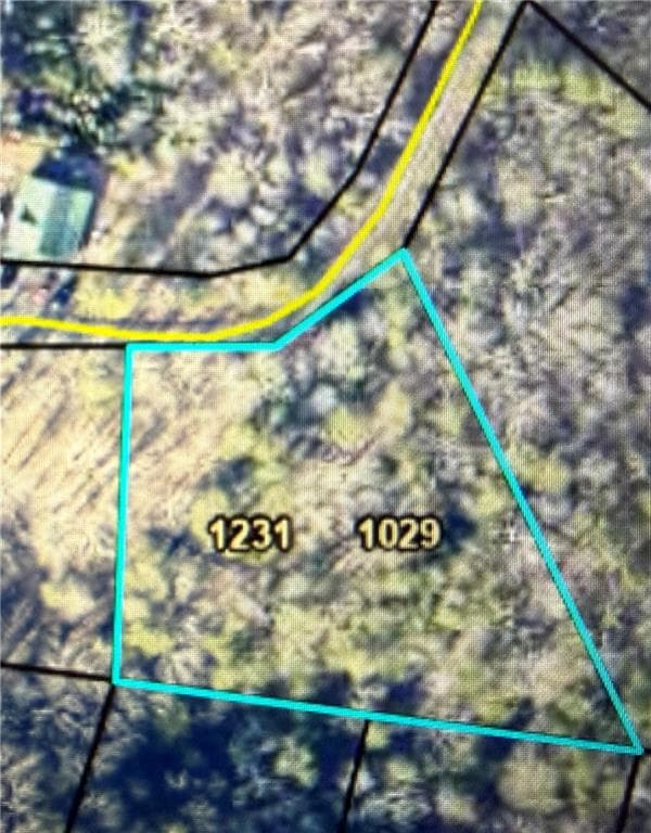 unimproved land for sale at 1029 Raccoon Ridge, Ranger, GA 30734 — photo 1 of 5