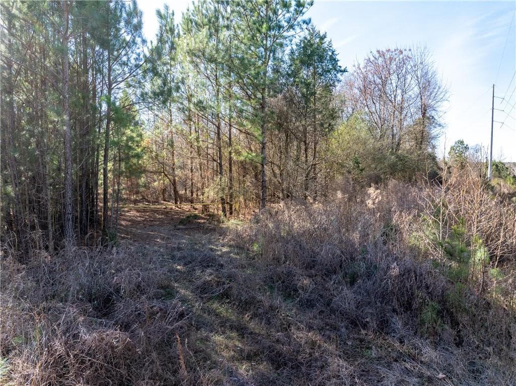 unimproved land for sale at 2071 Leslie Mill Road, Greensboro, GA 30642 — photo 3