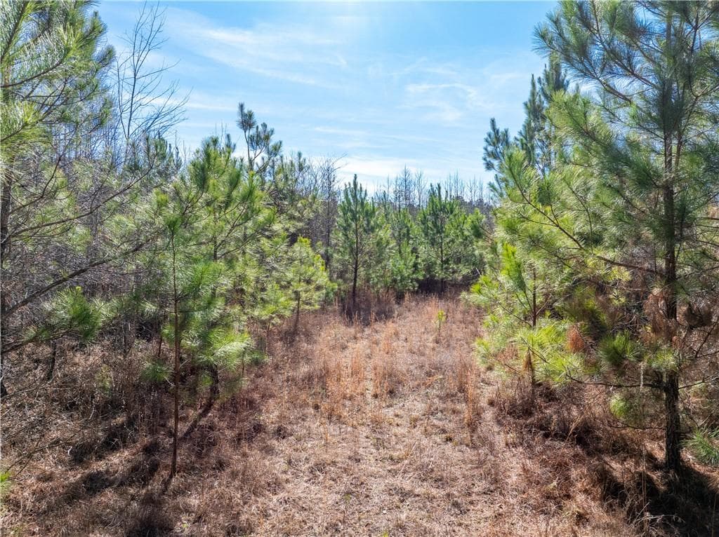 unimproved land for sale at 2071 Leslie Mill Road, Greensboro, GA 30642 — photo 4