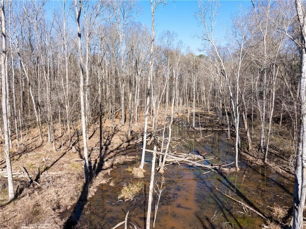 unimproved land for sale at 2071 Leslie Mill Road, Greensboro, GA 30642 — photo 5