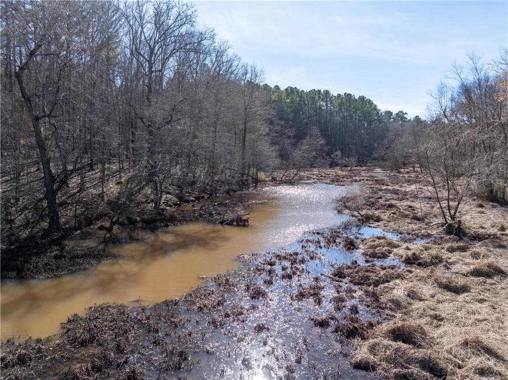 unimproved land for sale at 2071 Leslie Mill Road, Greensboro, GA 30642 — photo 6