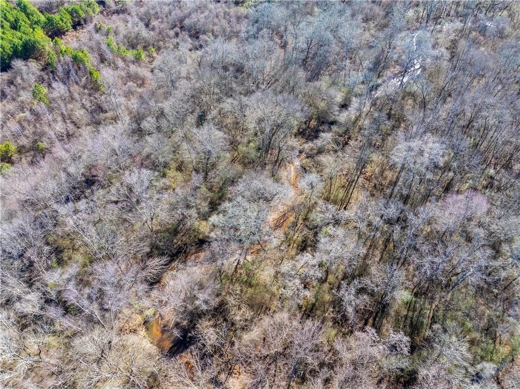 unimproved land for sale at 2071 Leslie Mill Road, Greensboro, GA 30642 — photo 7