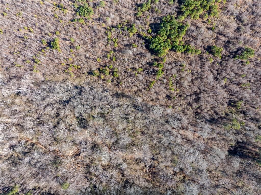 unimproved land for sale at 2071 Leslie Mill Road, Greensboro, GA 30642 — photo 8