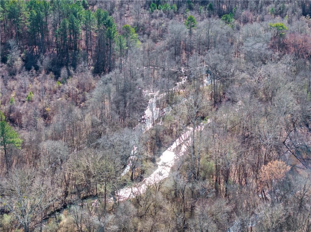 unimproved land for sale at 2071 Leslie Mill Road, Greensboro, GA 30642 — photo 9
