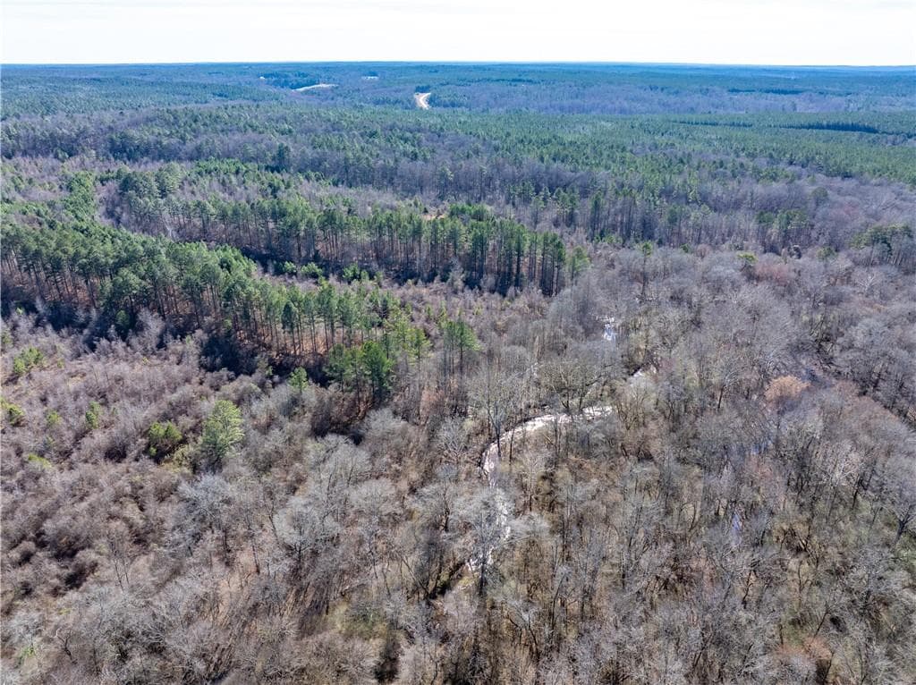unimproved land for sale at 2071 Leslie Mill Road, Greensboro, GA 30642 — photo 10