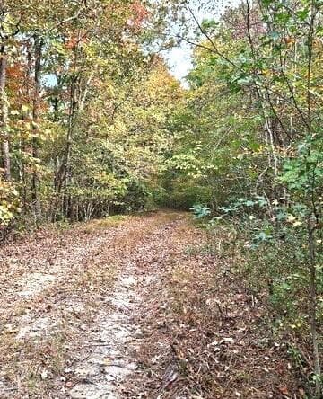 unimproved land for sale at 0 Fruit Farm Road, Summerville, GA 30747