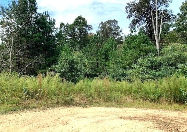 unimproved land for sale at 0 Fruit Farm Road, Summerville, GA 30747 — photo 3