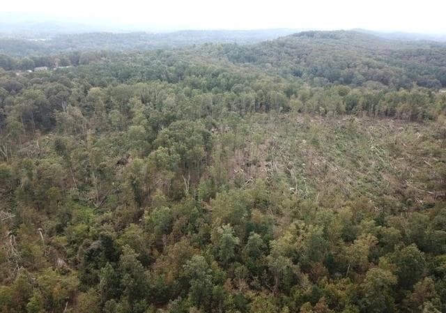 unimproved land for sale at 0 Fruit Farm Road, Summerville, GA 30747 — photo 4