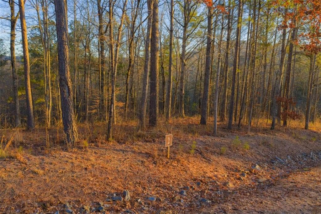 single family residence for sale at LOT 2 Blalock Mountain Road, Talking Rock, GA 30175 — photo 7
