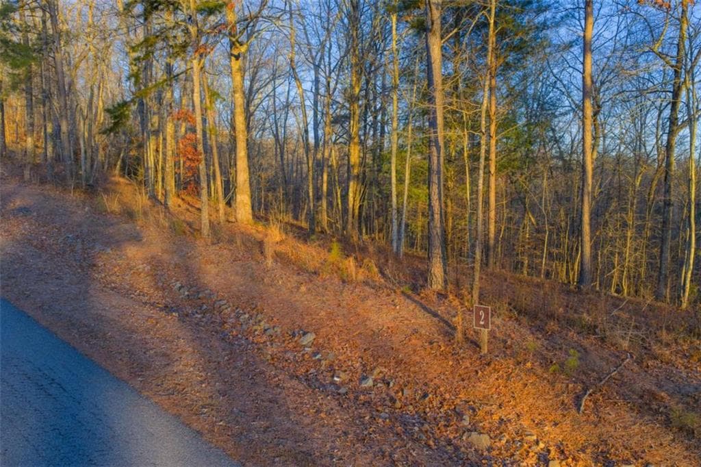 single family residence for sale at LOT 2 Blalock Mountain Road, Talking Rock, GA 30175 — photo 8