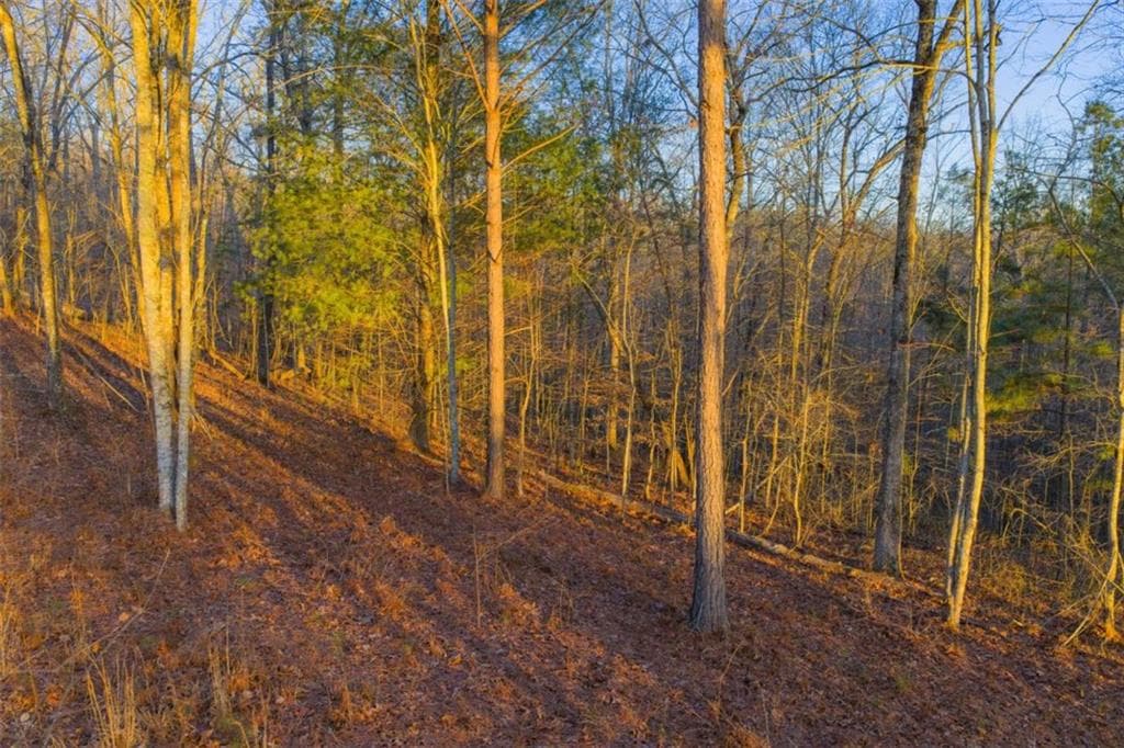 single family residence for sale at LOT 2 Blalock Mountain Road, Talking Rock, GA 30175 — photo 9