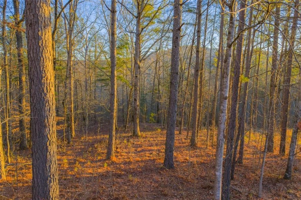 single family residence for sale at LOT 2 Blalock Mountain Road, Talking Rock, GA 30175 — photo 10