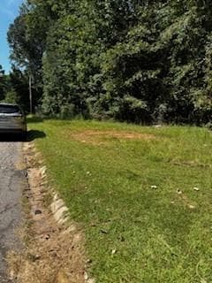 other under contract at 52 Springvalley Circle, Stockbridge, GA 30281 — photo 3