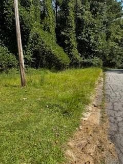 single family residence under contract at 53 Springvalley Circles, Stockbridge, GA 30281 — photo 5