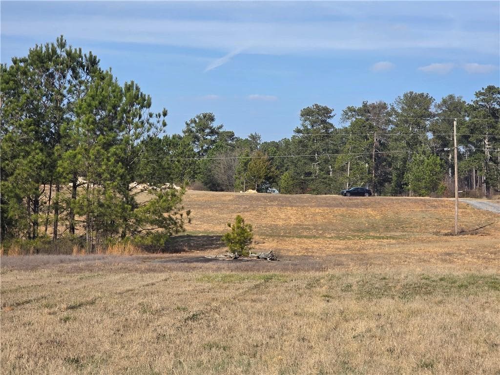unimproved land for sale at 4935 Old Highway 138, Loganville, GA 30052 — photo 2