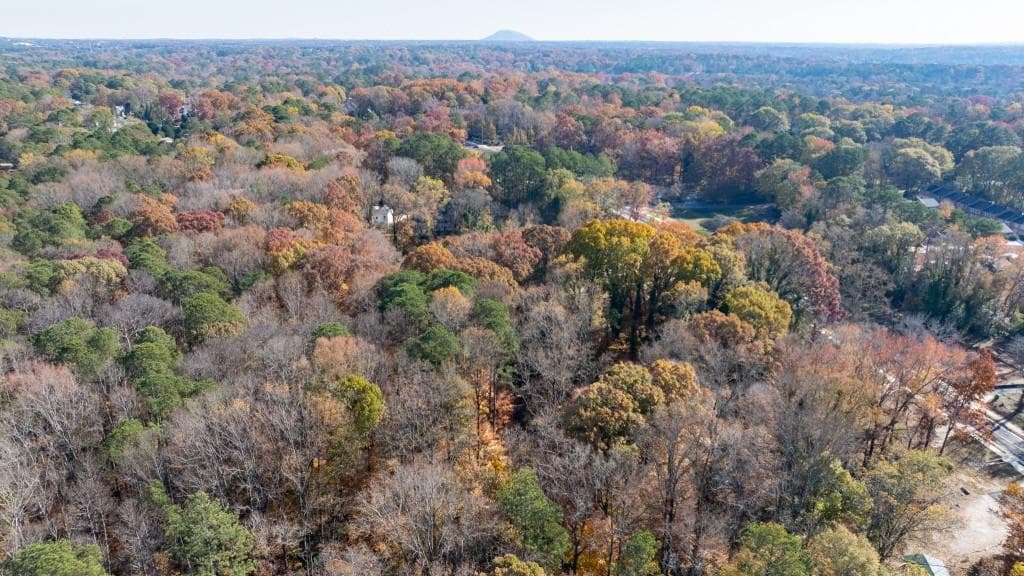 unimproved land for sale at 2924 Lavista Road, Decatur, GA 30033 — photo 8