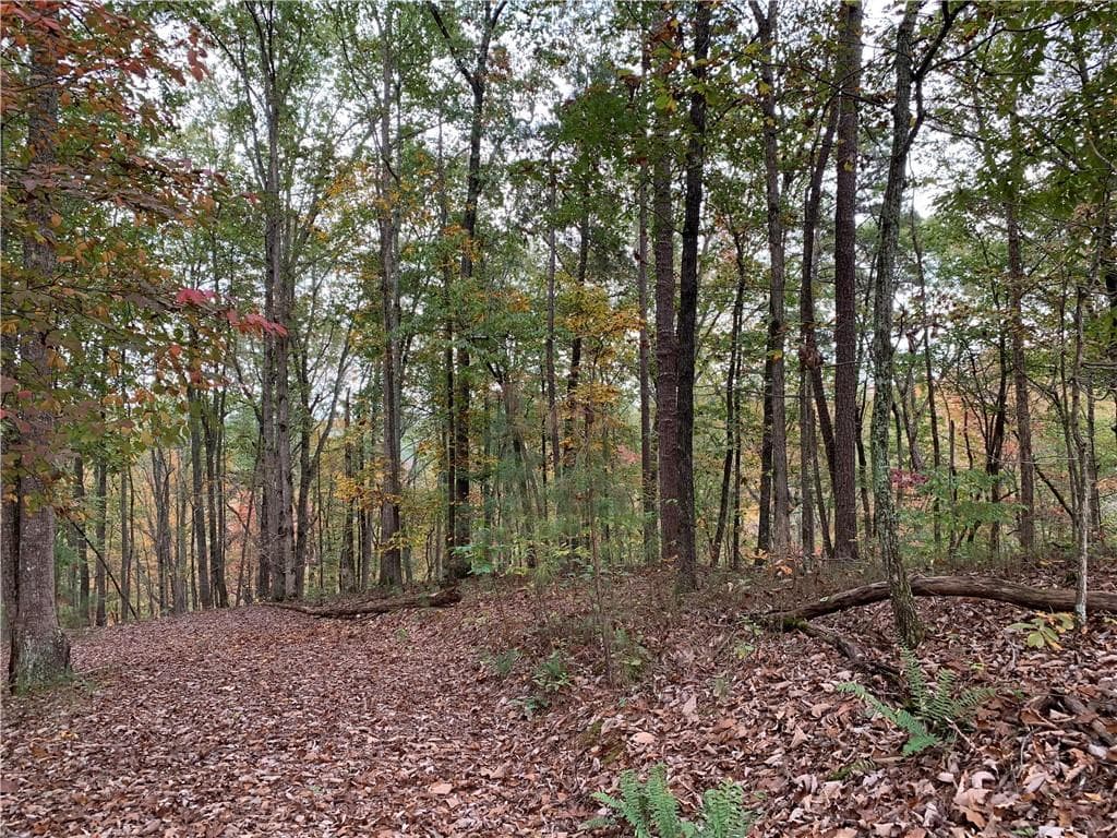 single family residence for sale at 128 Adair Drive, Ranger, GA 30734