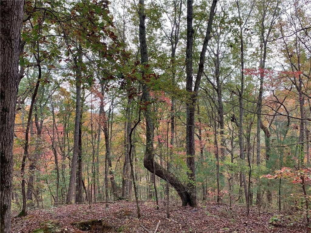 single family residence for sale at 128 Adair Drive, Ranger, GA 30734 — photo 2