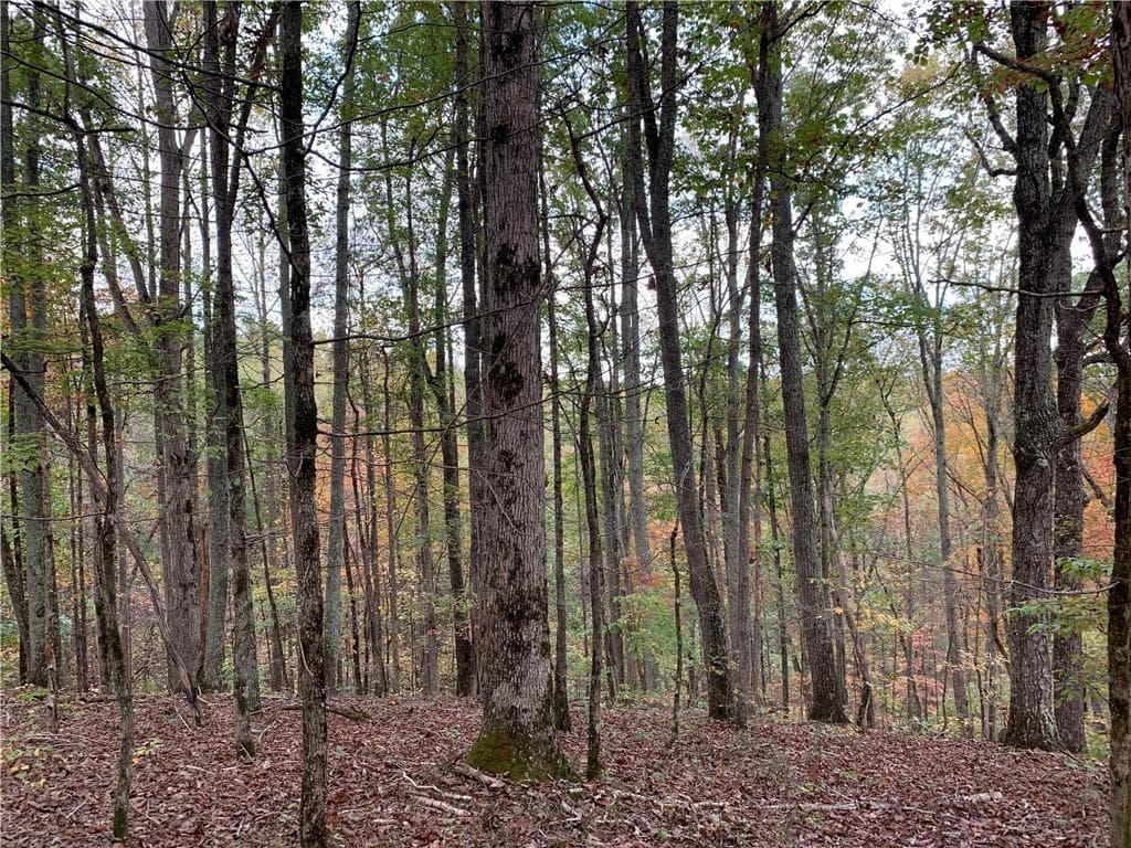 single family residence for sale at 128 Adair Drive, Ranger, GA 30734 — photo 3