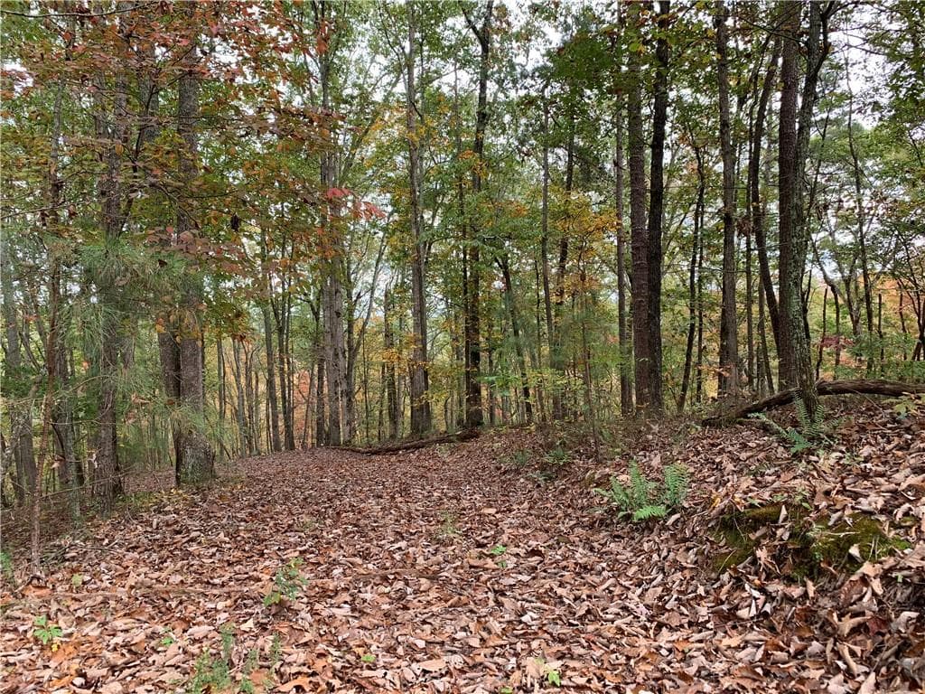 single family residence for sale at 128 Adair Drive, Ranger, GA 30734 — photo 10